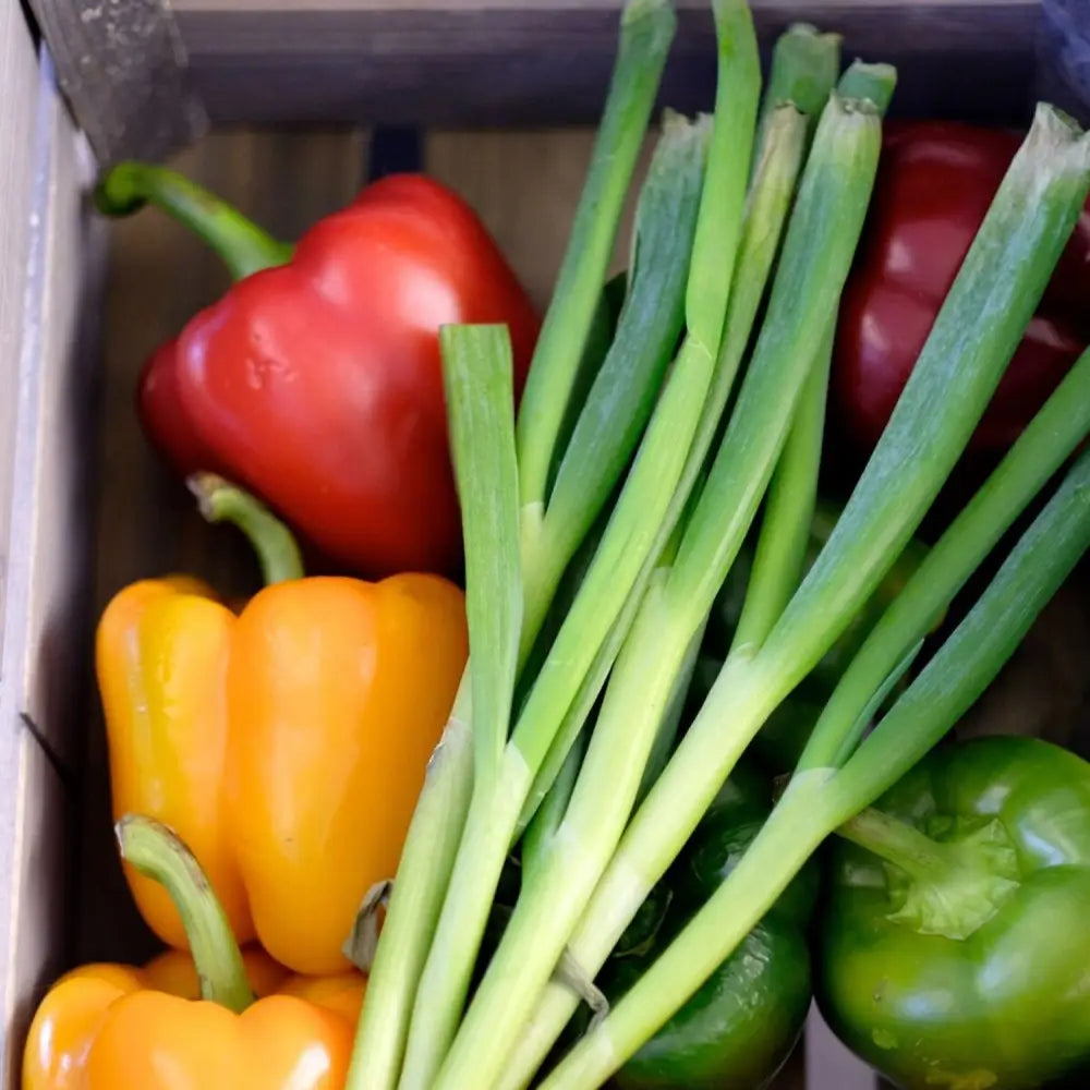 1 Çekmeceli Çekmece Bloğu PREMIUM - Çekmeceli Çekmece Bloğu