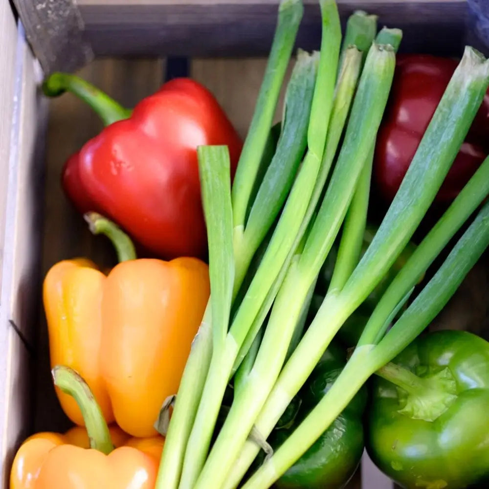 2 Çekmeceli Çekmece Bloğu PREMIUM - Tezgah altı modülü 400x560mm