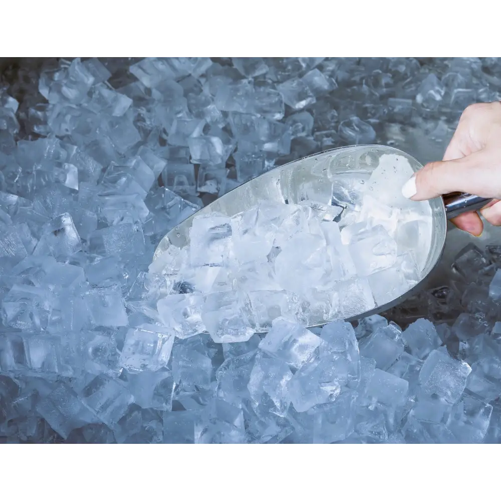 Galleyz 250 Kg Buz Makinesi Hazne Dahil