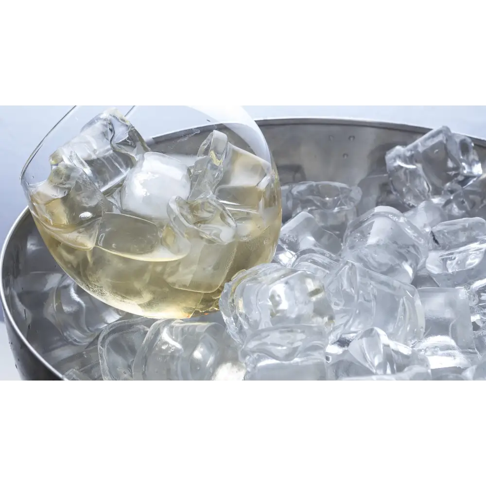 Galleyz İceinox 90 Kg Buz Makinesi İce90