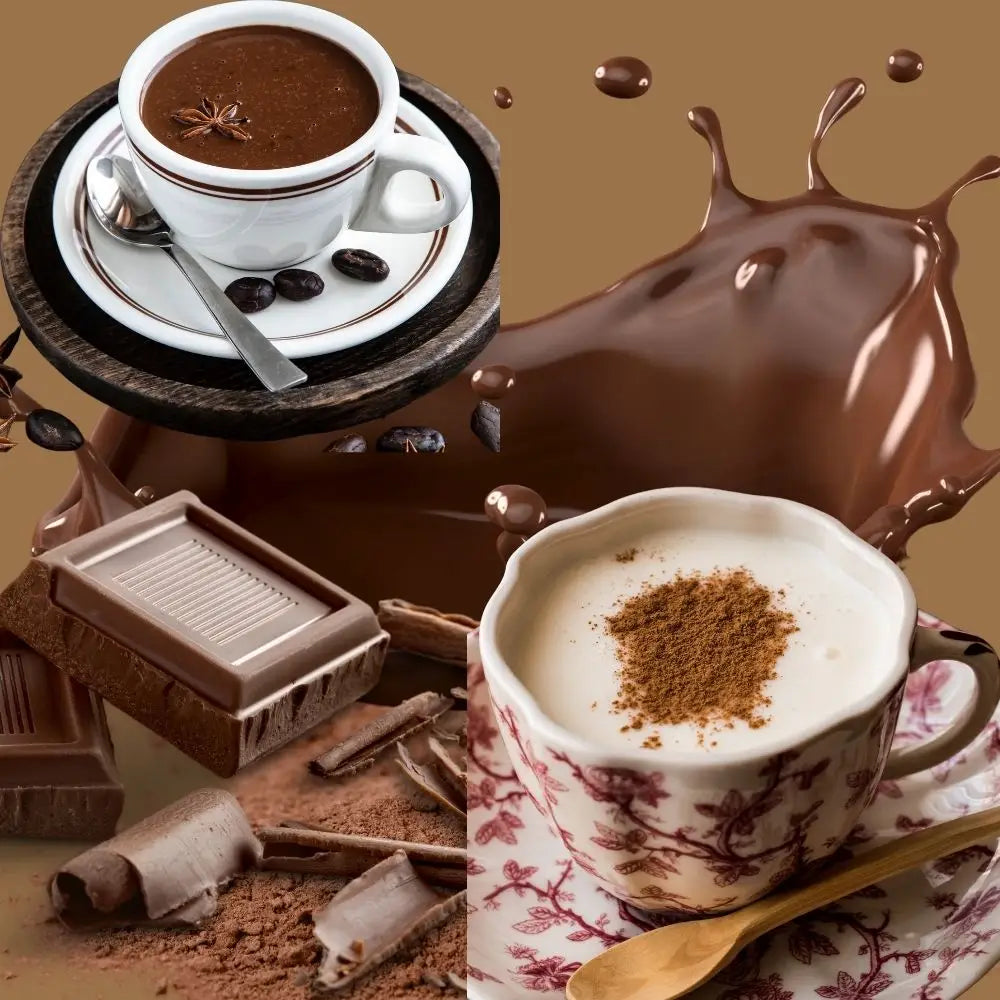 Silver Model Sahlep ve Sıcak Çikolata Isıtıcı 5 lt