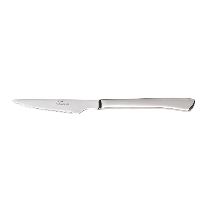 Zicco ZB-01 Çelik Saplı Steak Bıçağı, 22 cm