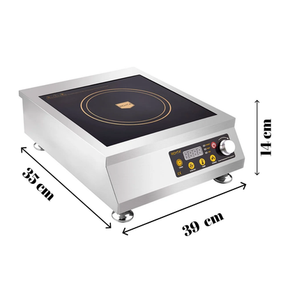 Remta WYL-D42 Induction Cooker Hob Electric