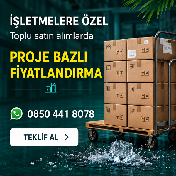Yazın En Güçlü Yardımcıları