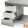 Galleyz Paslanmaz Çelik Çalışma Tezgahı ECO -600x600mm - Alt Raflı, Sırtlı