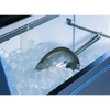 Iceinox ICE 50 Küp Buz Makinesi - kendinden hazneli - 50 kg/gün