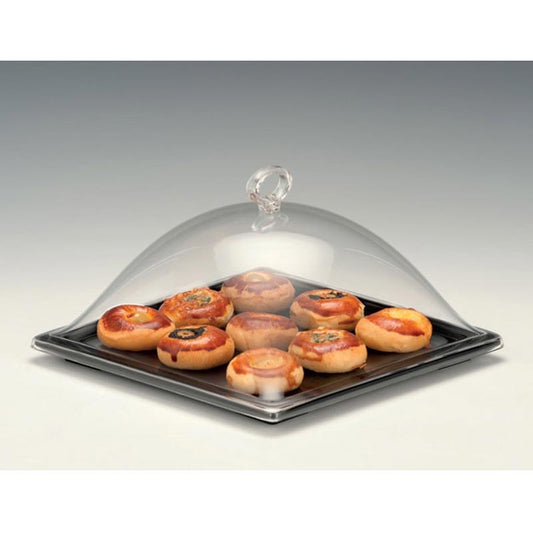 Zicco ZCP-754 Akrilik Kapaklı Melamin Altlı Muhafaza Kabı, 25x25x15 cm