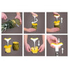 Vacu Vin 4874360 Ananas Dilimleyici