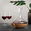 Vacu Vin 76010602 Özel Tasarımlı Dönen Karaf